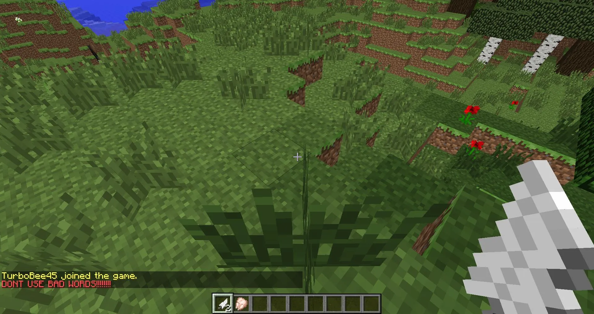 Anti-Swear Plugin, Плагины, Minecraft
