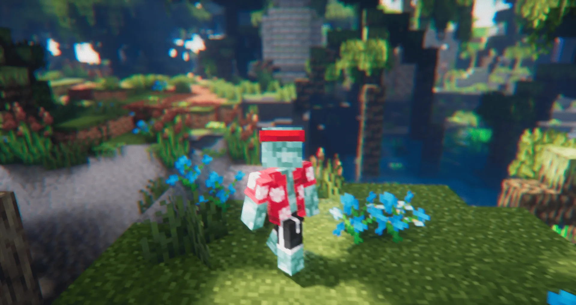 Detailed Animations Tester, Текстуры, Minecraft