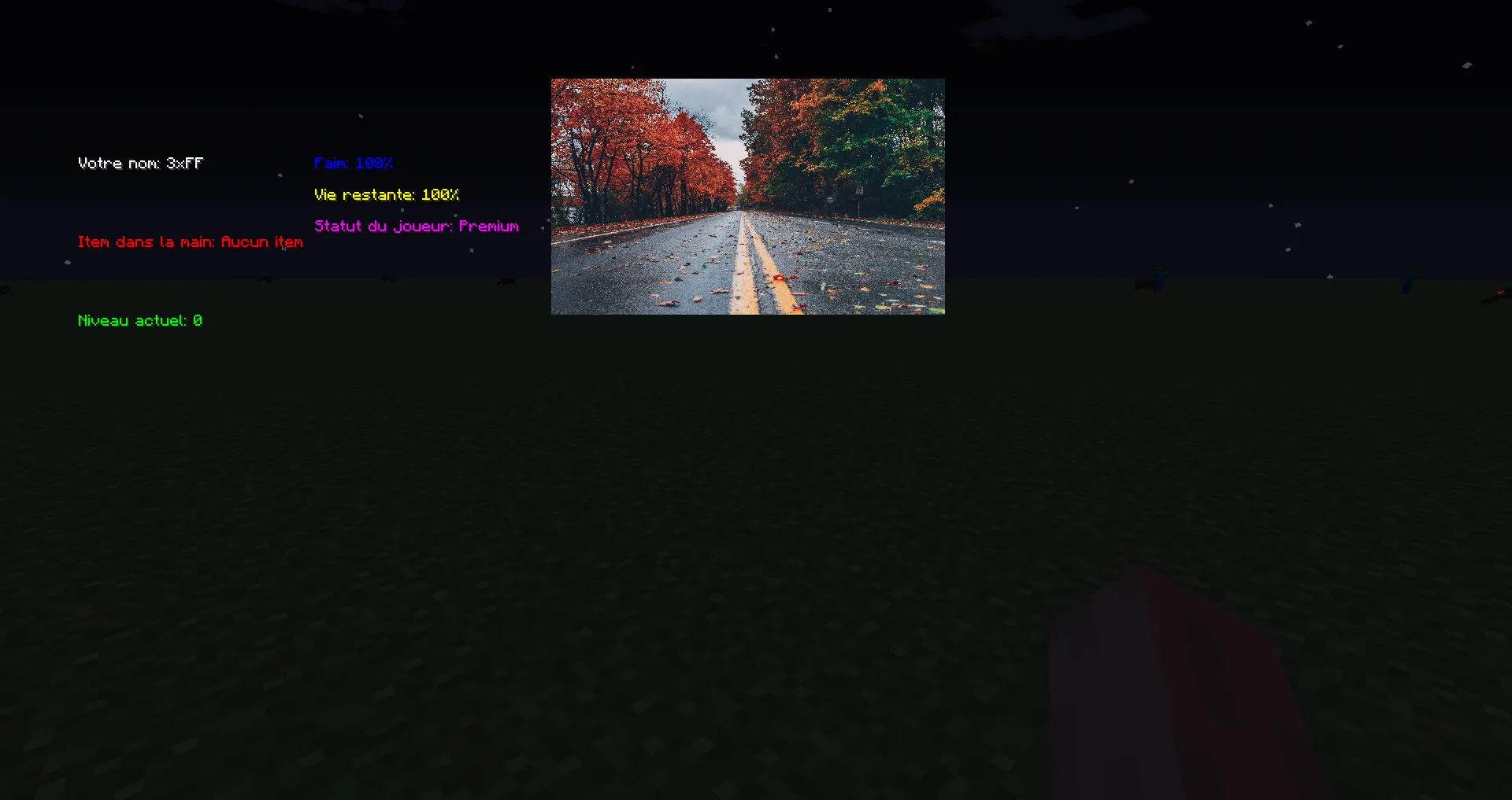 Skyr (display hud)  — скриншот 1 (Моды, Minecraft)