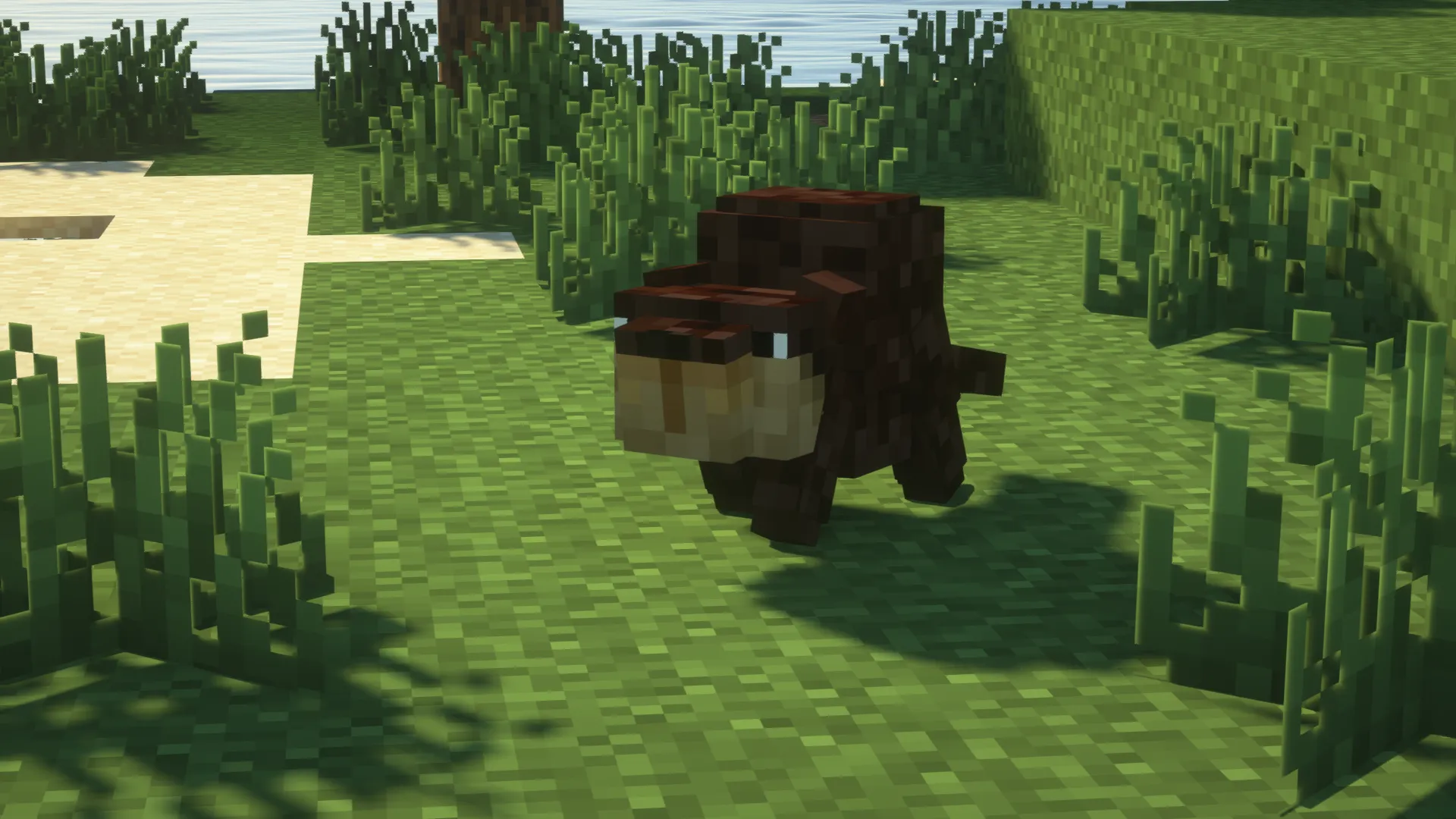 Lil' Beaver, Моды, Minecraft