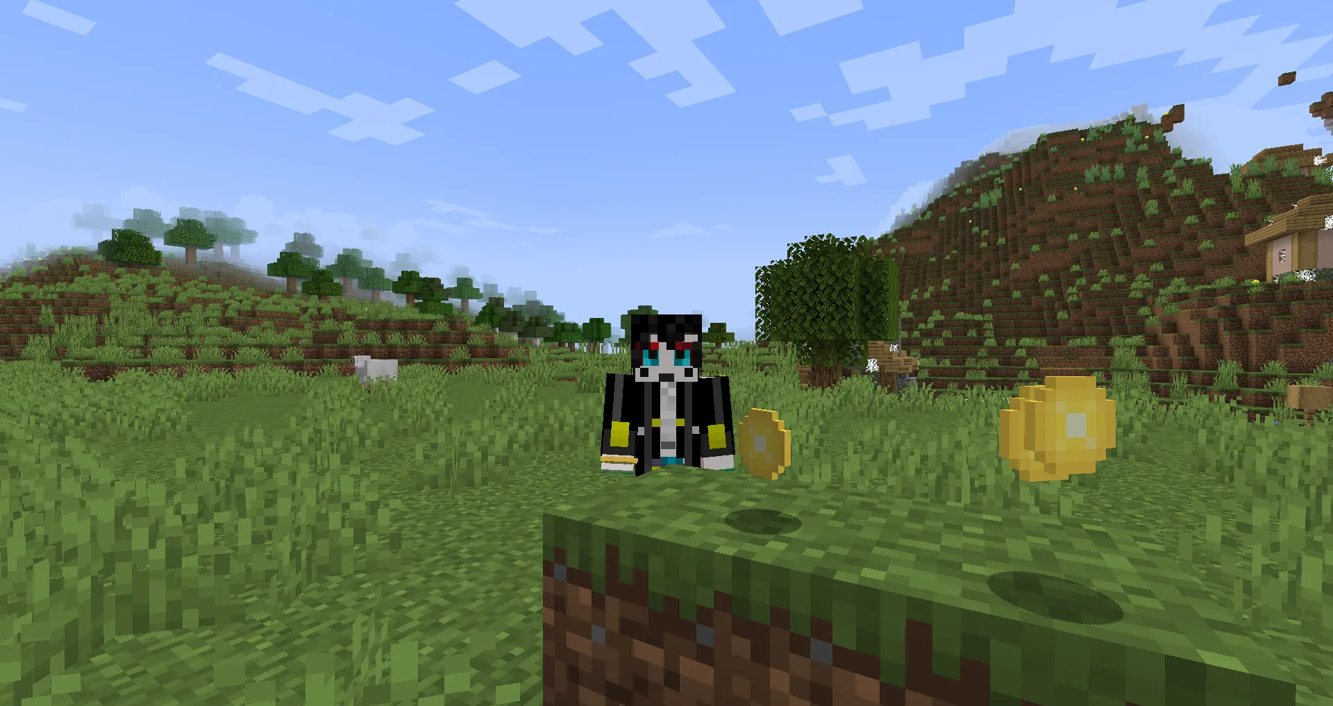 Glitcoin AbsolutionMC, Текстуры, Minecraft