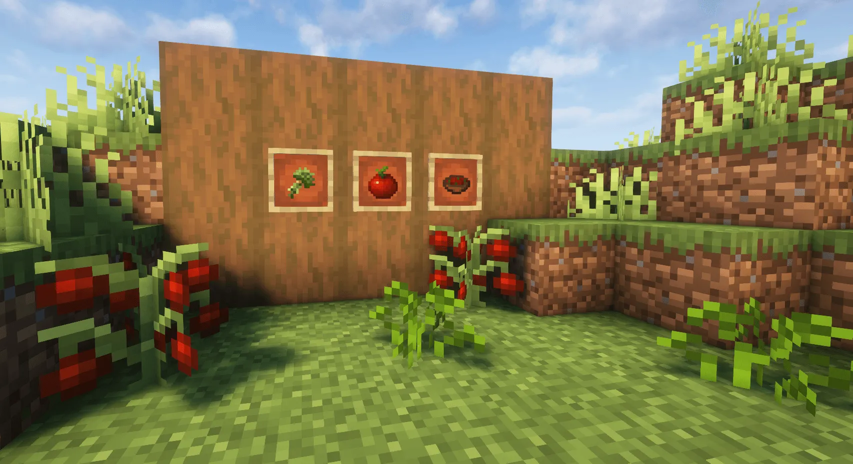 Summer Addition, Моды, Minecraft