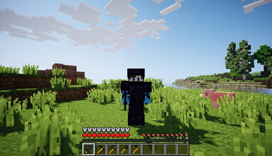 Nim Mod — скриншот 5 (Моды, Minecraft)