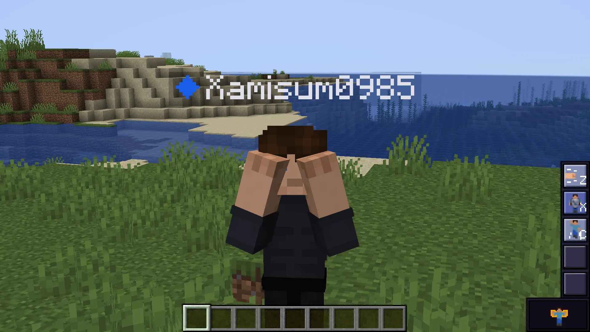 Simply Powers, Моды, Minecraft