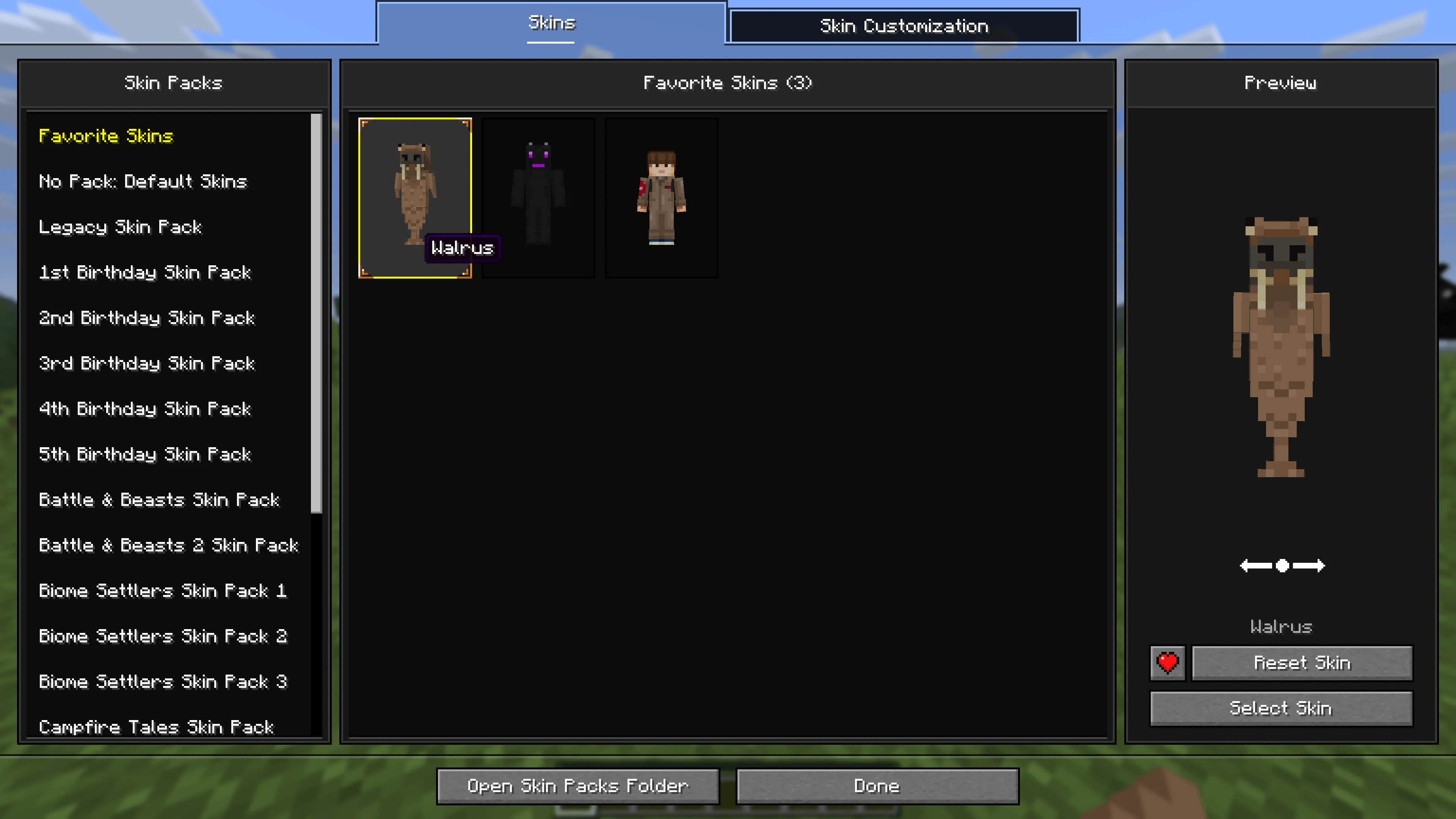 Bedrock Skins, Моды, Minecraft