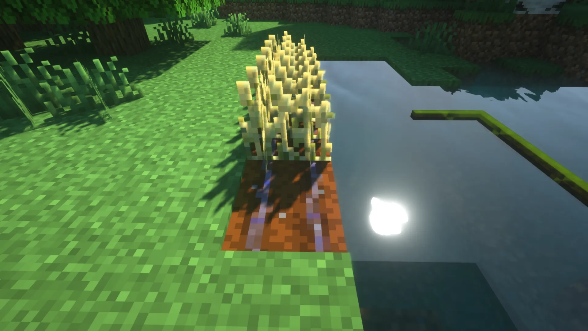 morio (changes to things), Текстуры, Minecraft