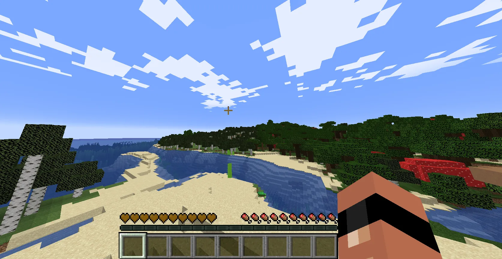 Brown Hearts Poop, Текстуры, Minecraft