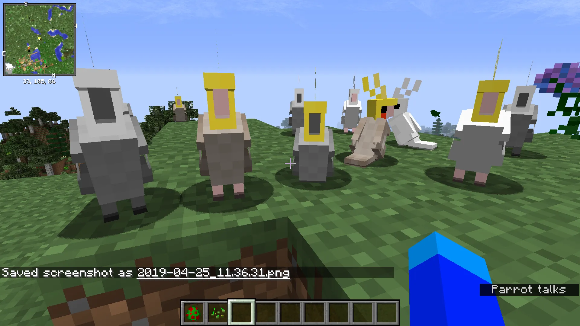 OOPS! All cockatiels(Now with sound!) — скриншот 1 (Текстуры, Minecraft)