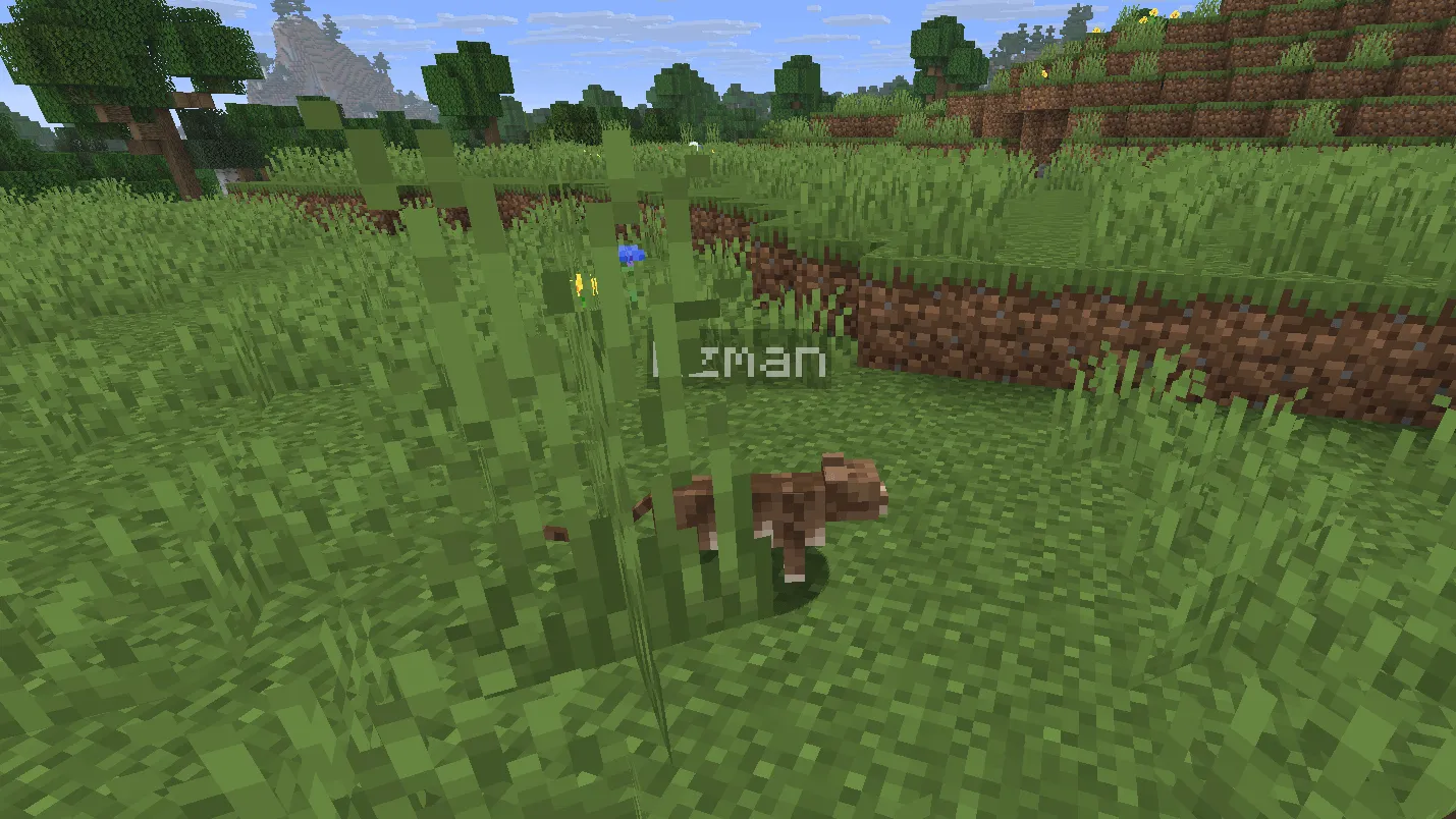 KeepItSecret — скриншот 2 (Моды, Minecraft)
