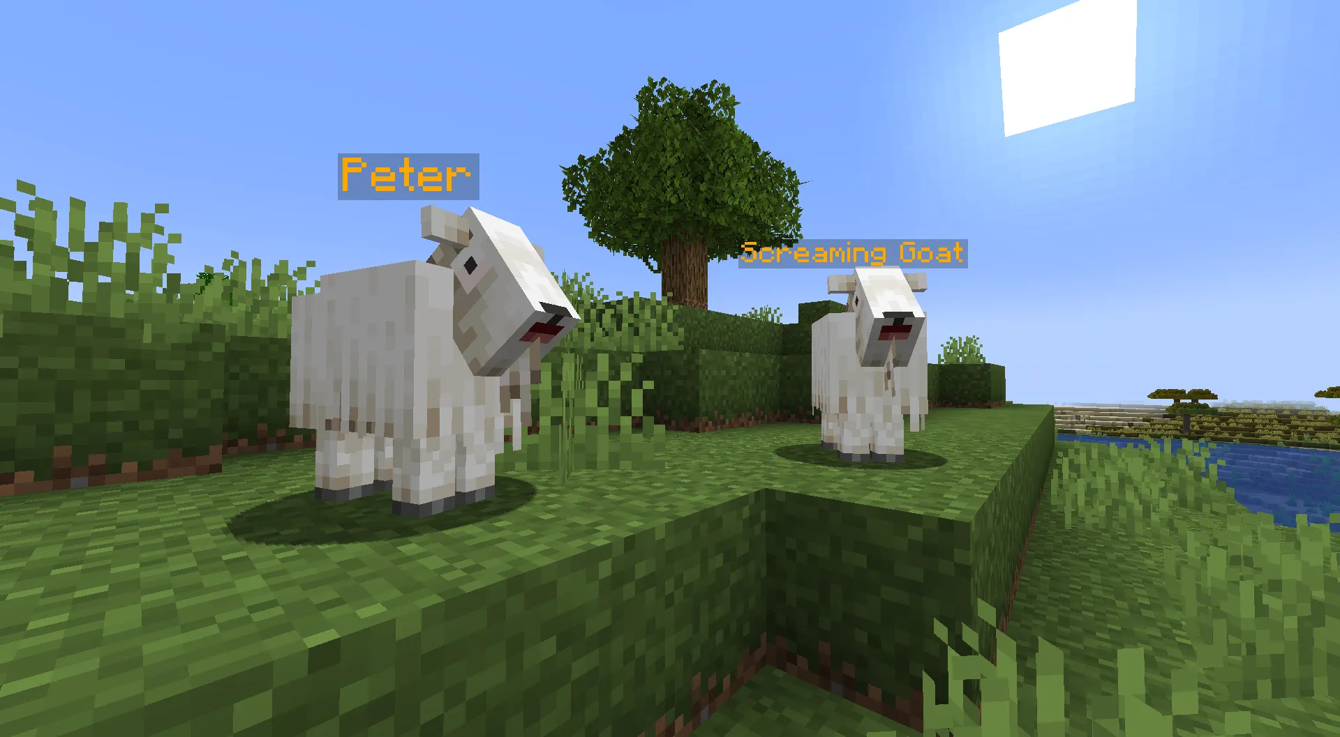Goat Separator (legacy), Моды, Minecraft