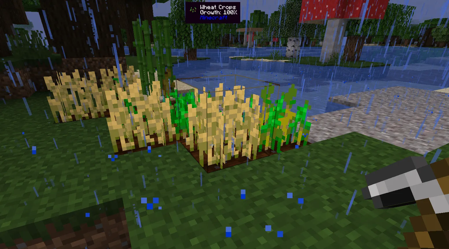 LookAtThat, Моды, Minecraft