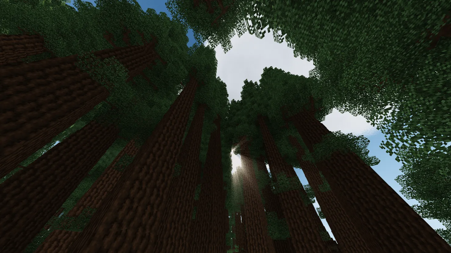 MedievalCraft - A New World — скриншот 2 (Модпаки, Minecraft)