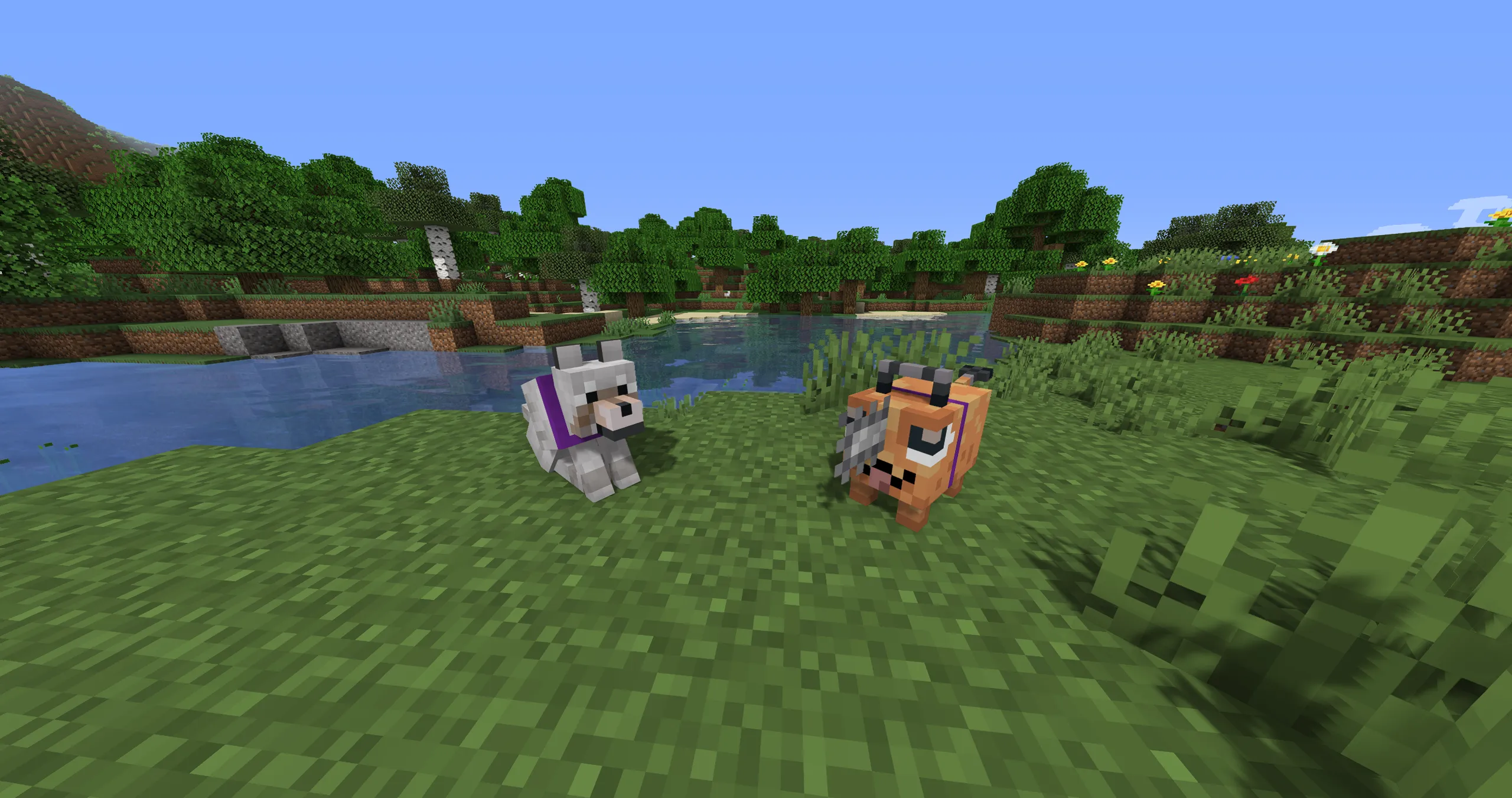 Shiny's Pochitas — скриншот 1 (Текстуры, Minecraft)