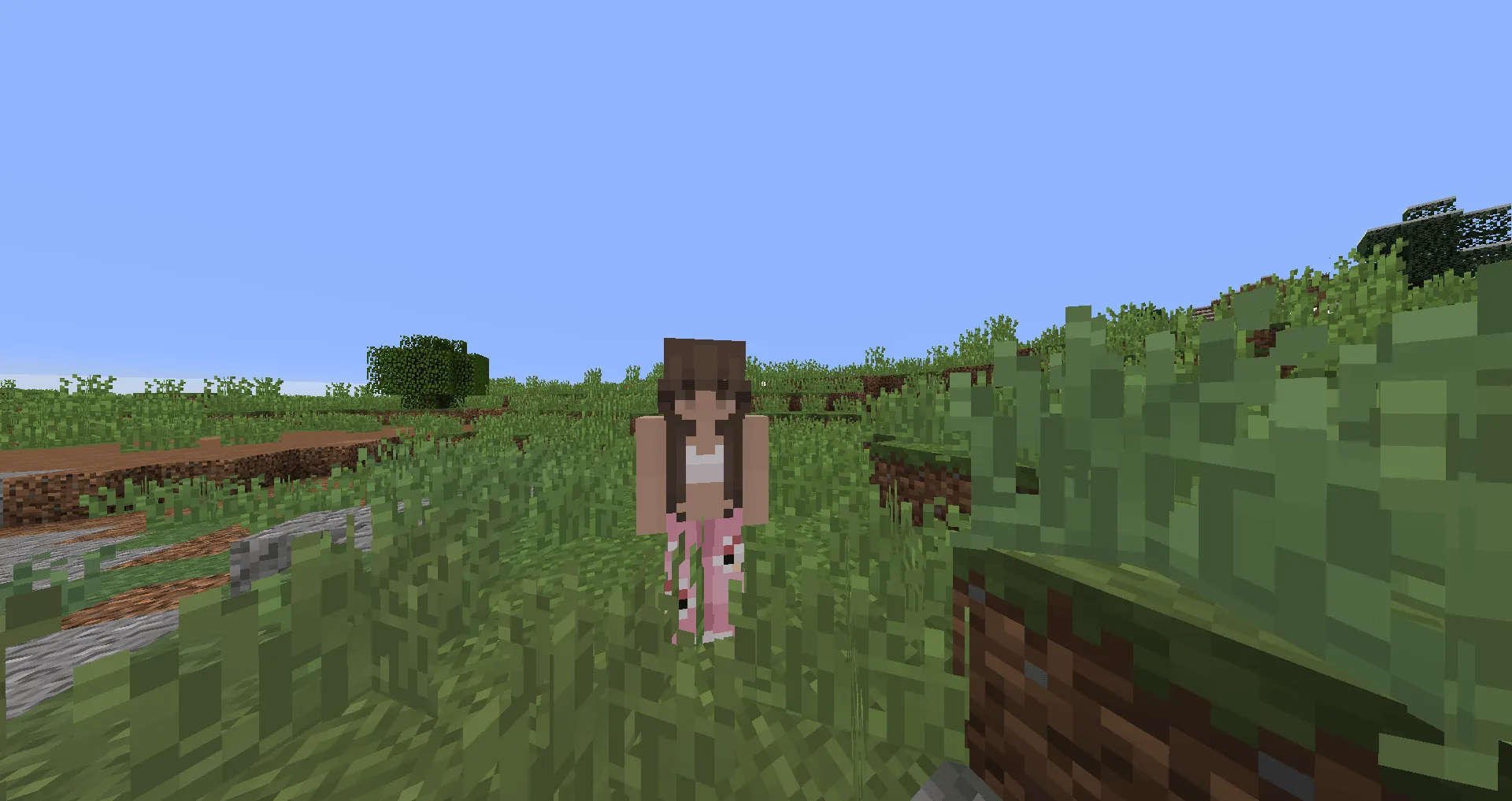 The Snail, Моды, Minecraft