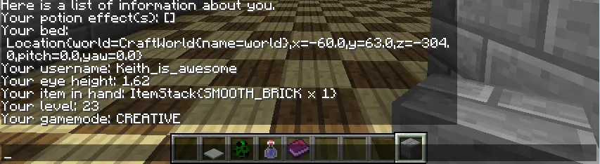MeInfo — скриншот 1 (Плагины, Minecraft)