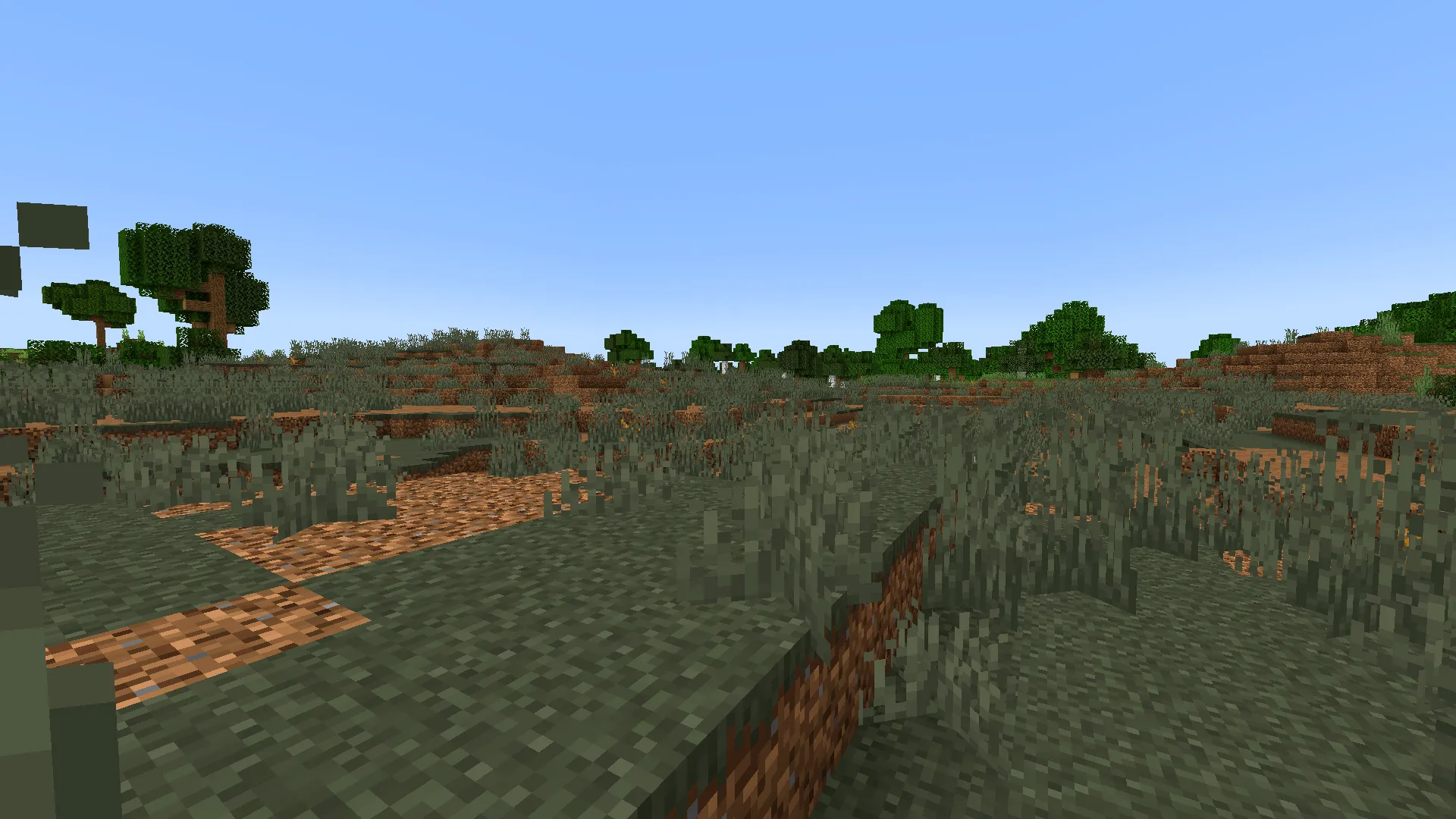 Biome Fest, Моды, Minecraft
