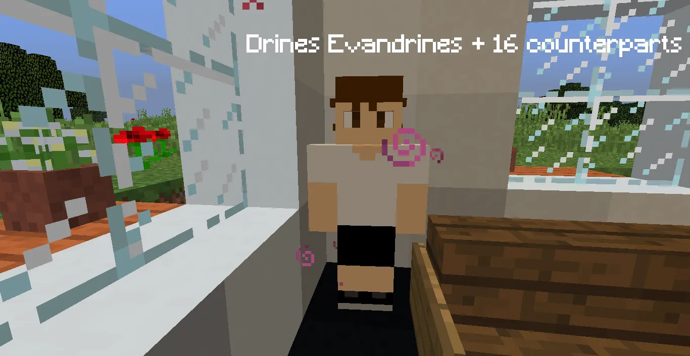 DrinesCraft, Моды, Minecraft