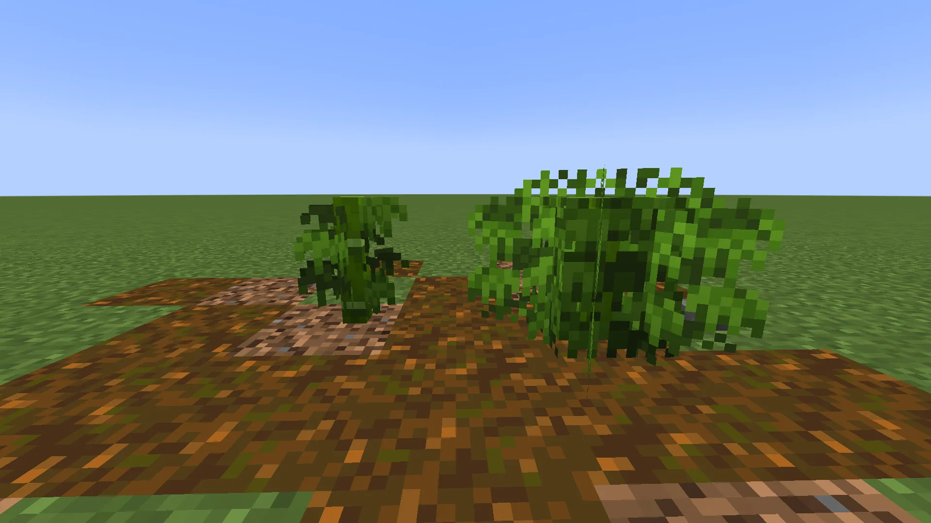Bamboo Bushy Leaves — скриншот 3 (Текстуры, Minecraft)