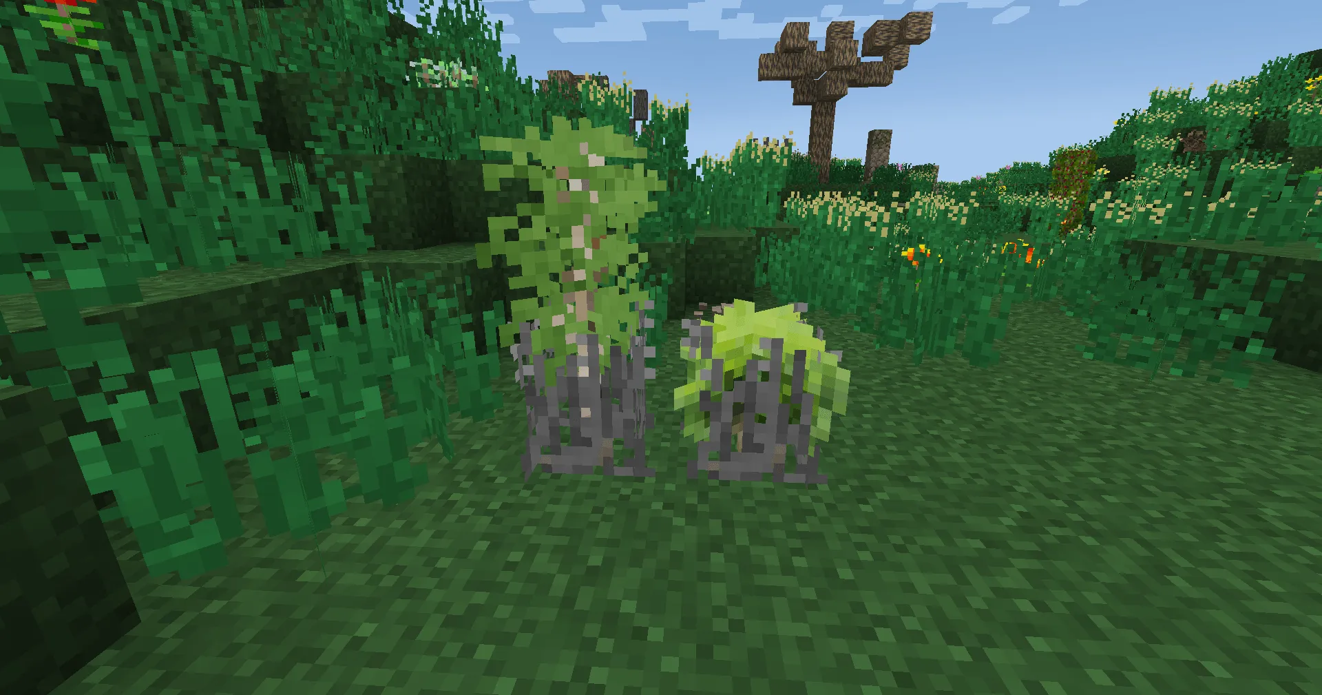 TFC: Caffeinated, Моды, Minecraft