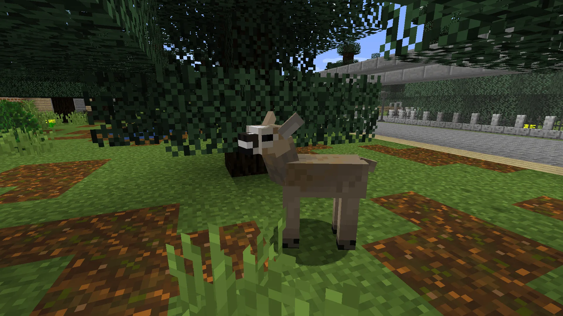 European Wildlife — скриншот 11 (Моды, Minecraft)