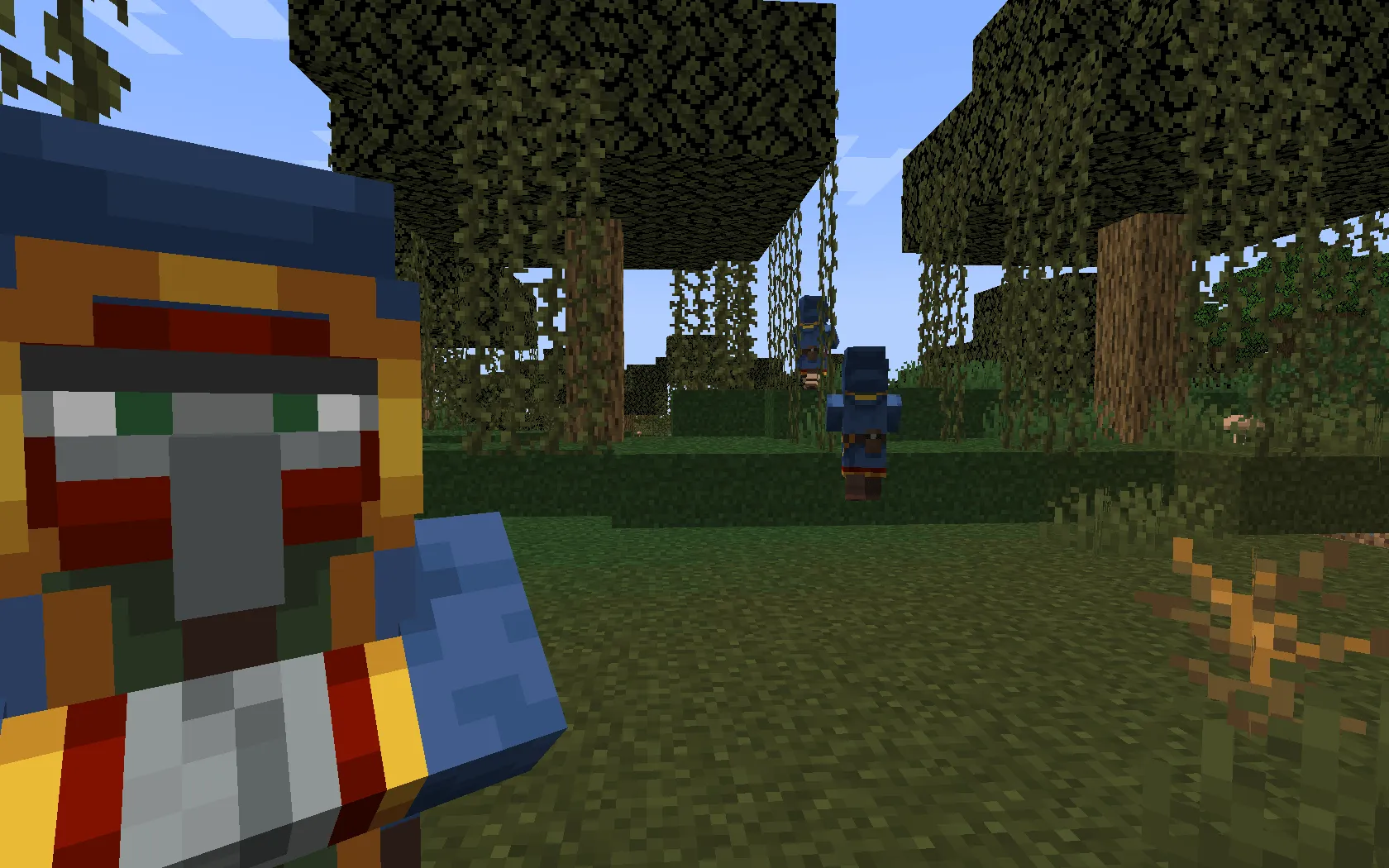 JMG´s Villager Diversity (Wanderful Clothes) - (Optfine Required), Текстуры, Minecraft