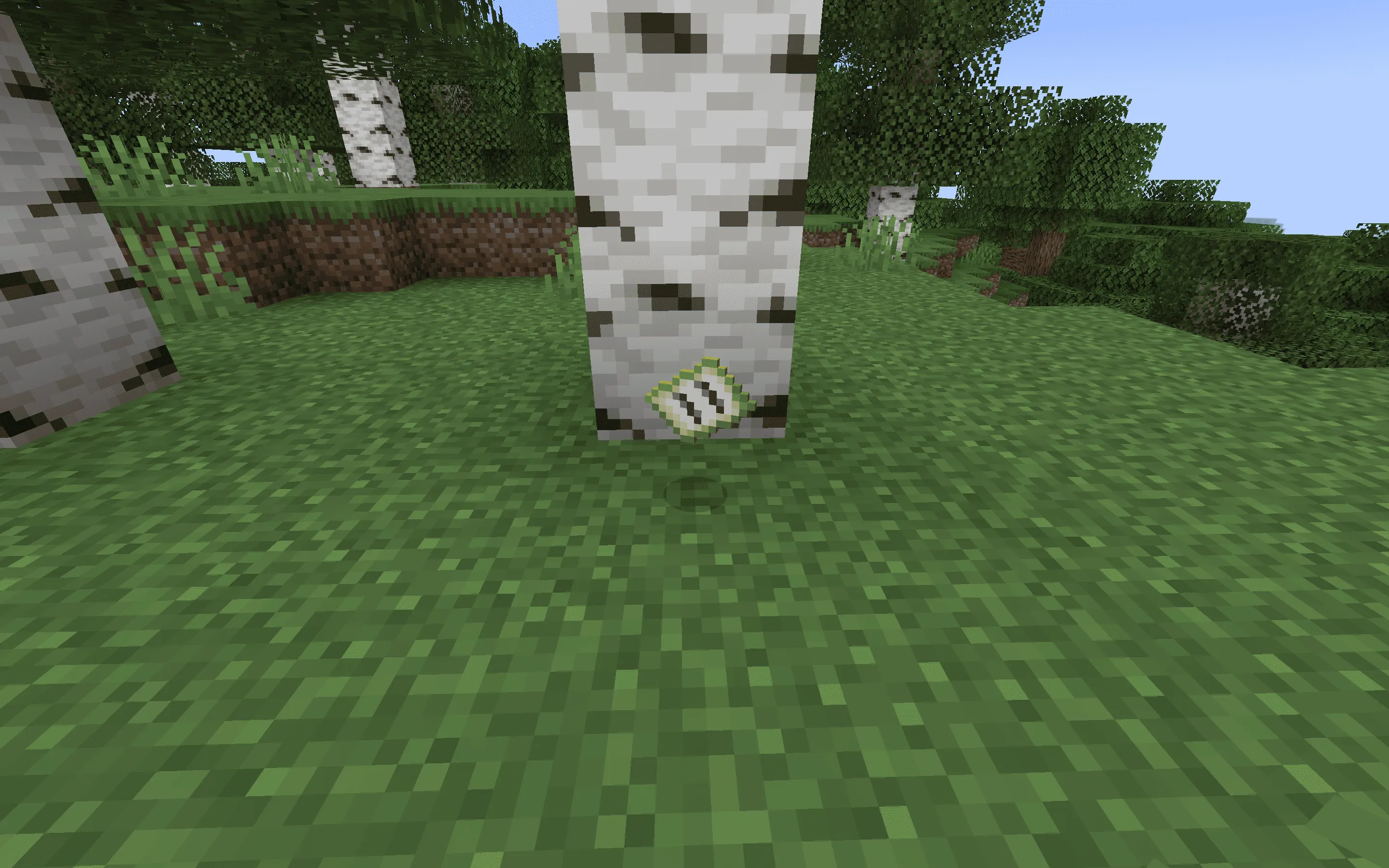 Bedrock Map Item — скриншот 1 (Текстуры, Minecraft)