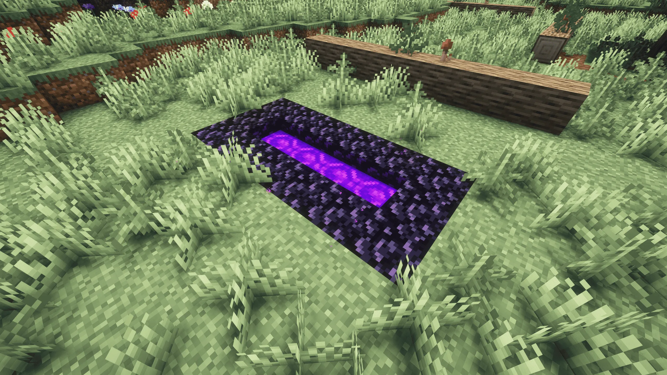 Custom Nether Portals [Any Shape Nether Portals], Моды, Minecraft