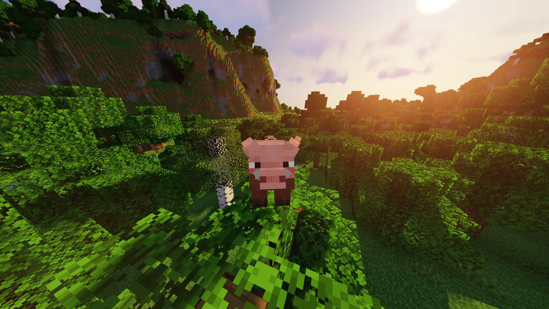 Kawaii Piggy Pack — скриншот 5 (Текстуры, Minecraft)