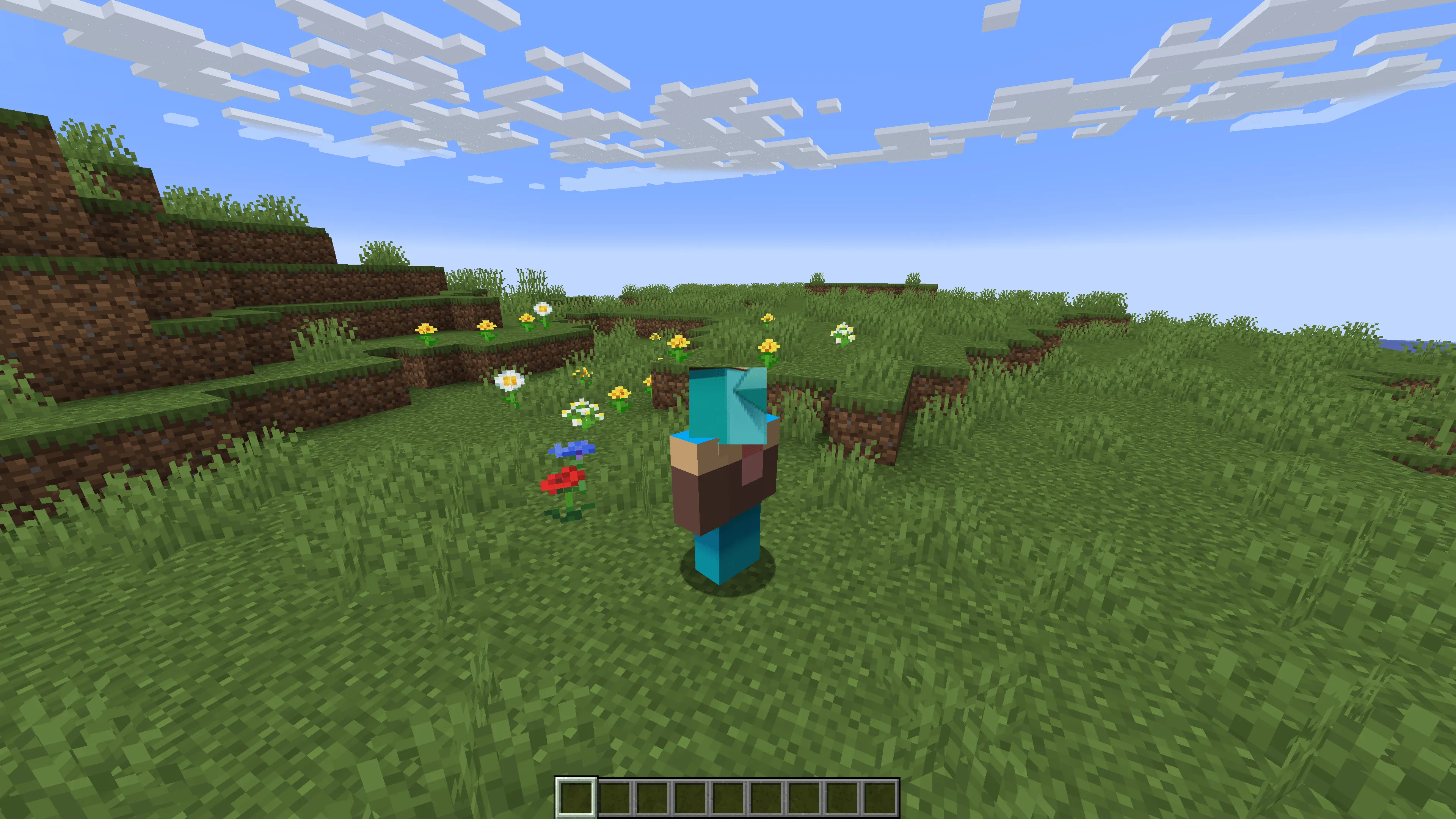 A Really cool steve!, Моды, Minecraft