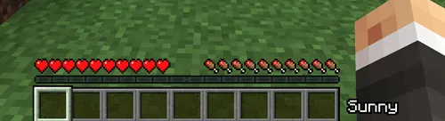 WeatherDisplay, Моды, Minecraft