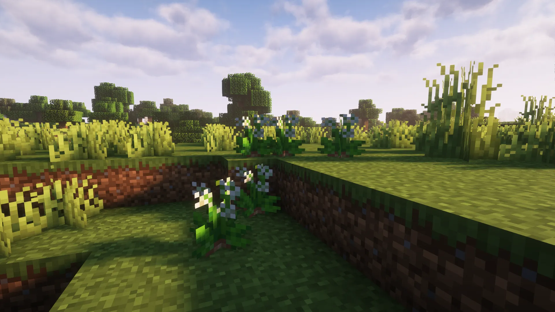 Spanish Delight (A Farmer's Delight Add-on), Моды, Minecraft