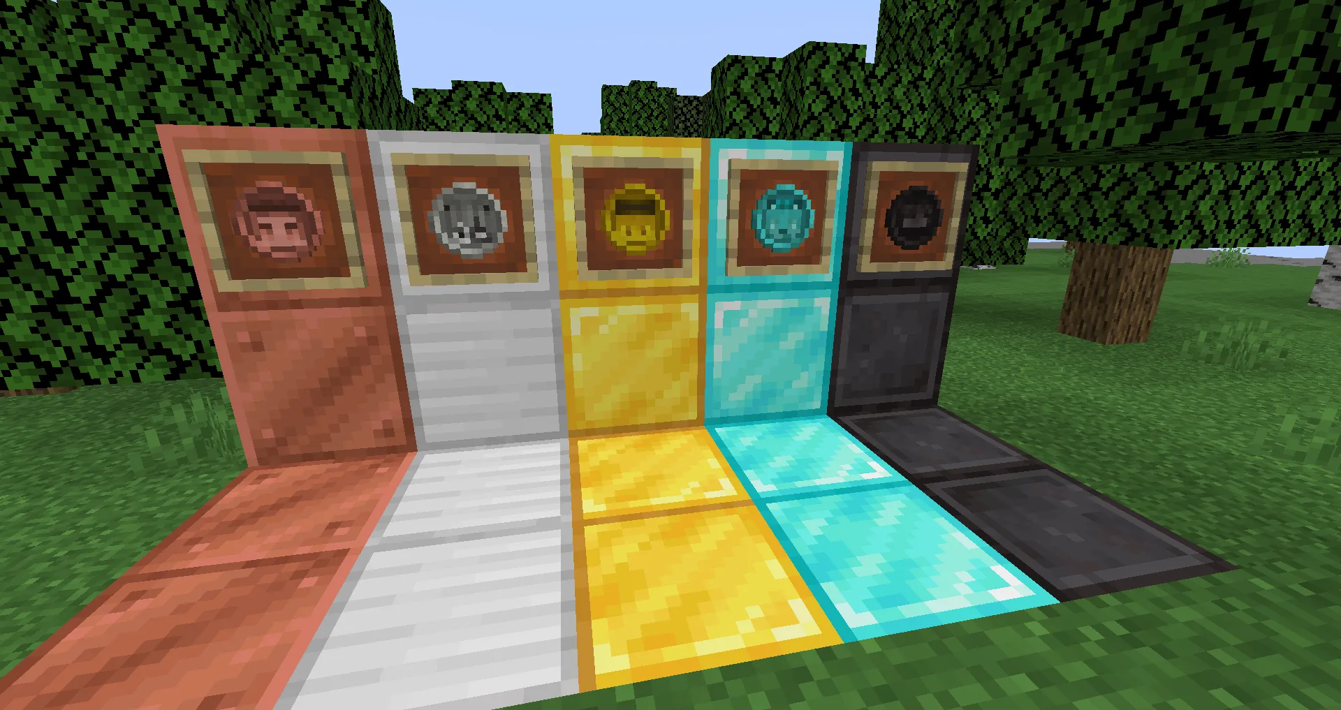 Ron's Coin's, Моды, Minecraft