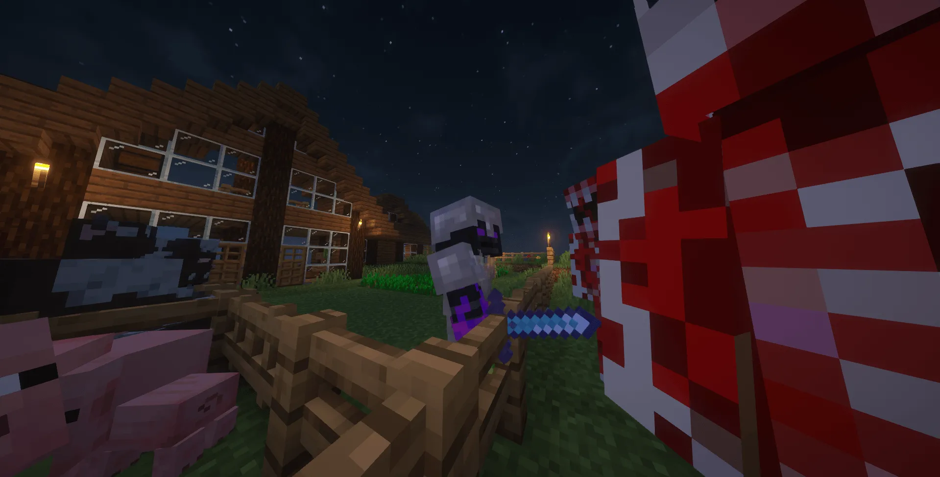 Vizer, Моды, Minecraft