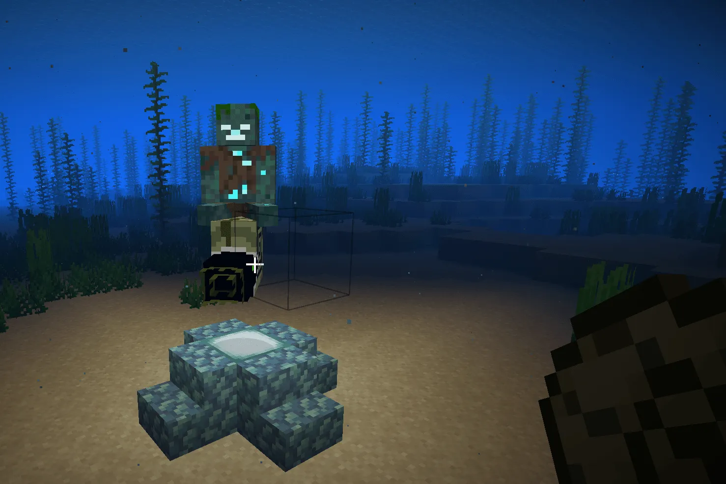 Wollcrafter's Nautilus, Моды, Minecraft