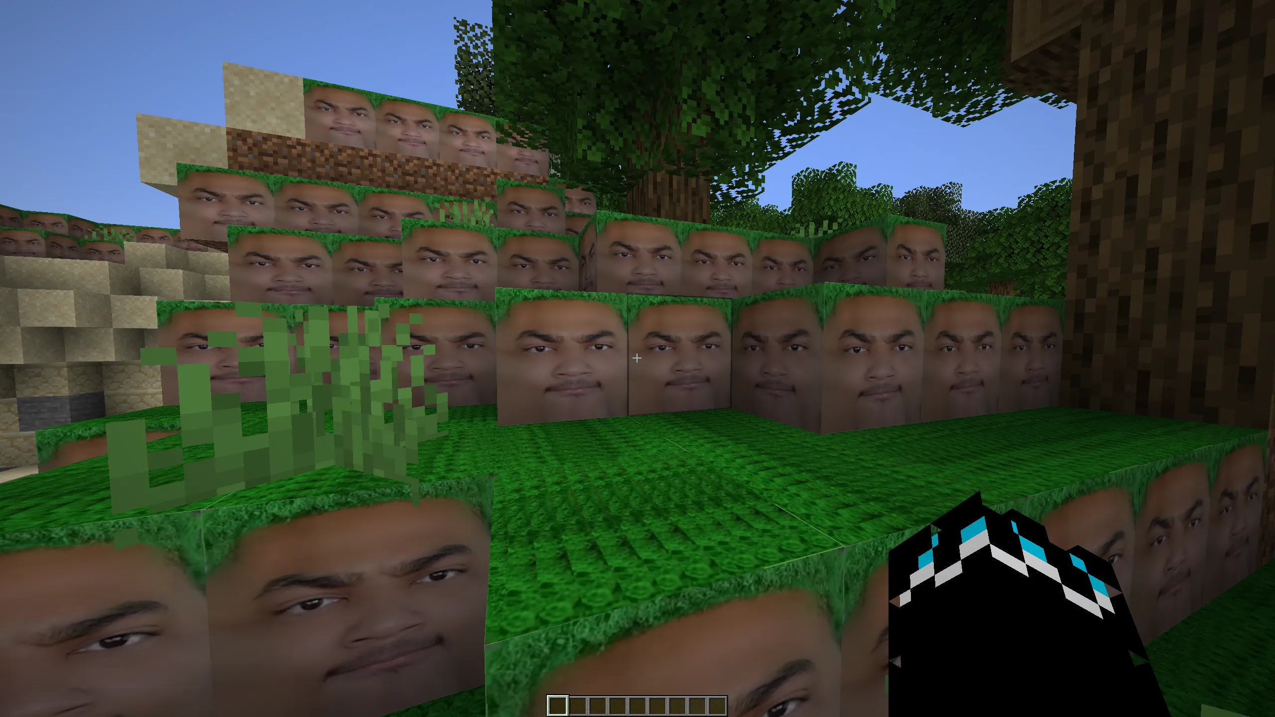 I LOOK LIKE A DIRT BLOCK?! — скриншот 1 (Текстуры, Minecraft)