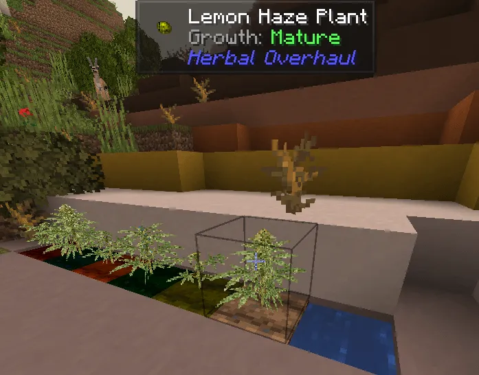 Herbal Overhaul, Моды, Minecraft