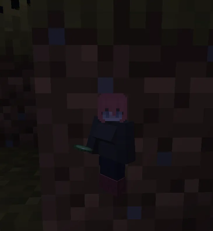 Stomp & Climb, Моды, Minecraft
