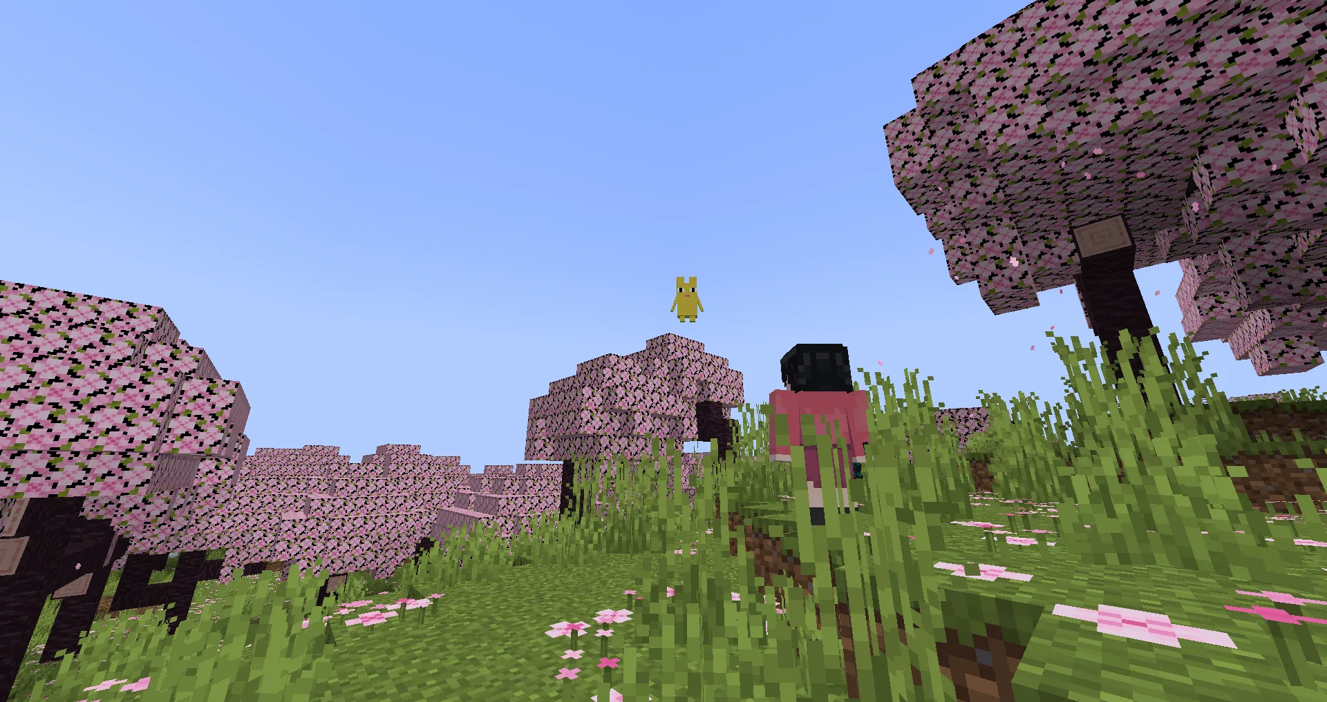 Azumanga Girls, Моды, Minecraft