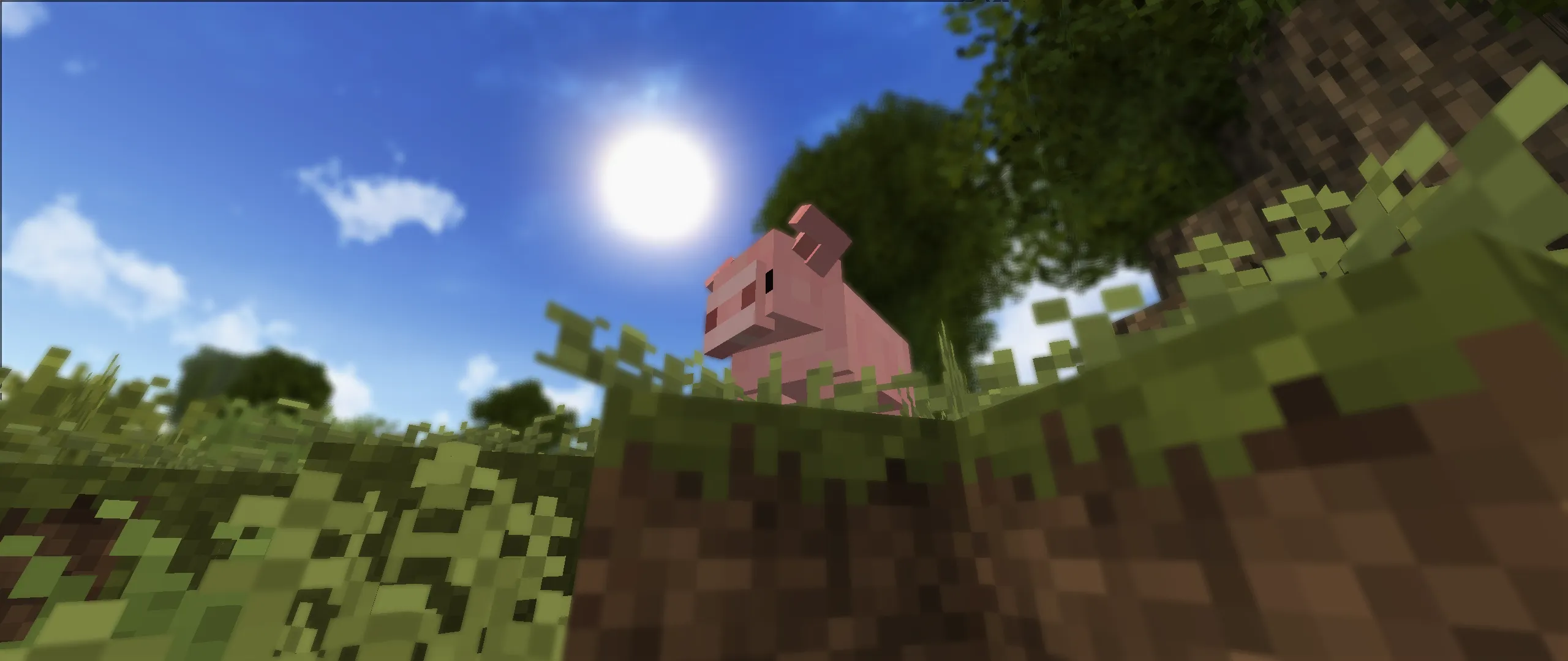 Survival's Pack — скриншот 5 (Модпаки, Minecraft)