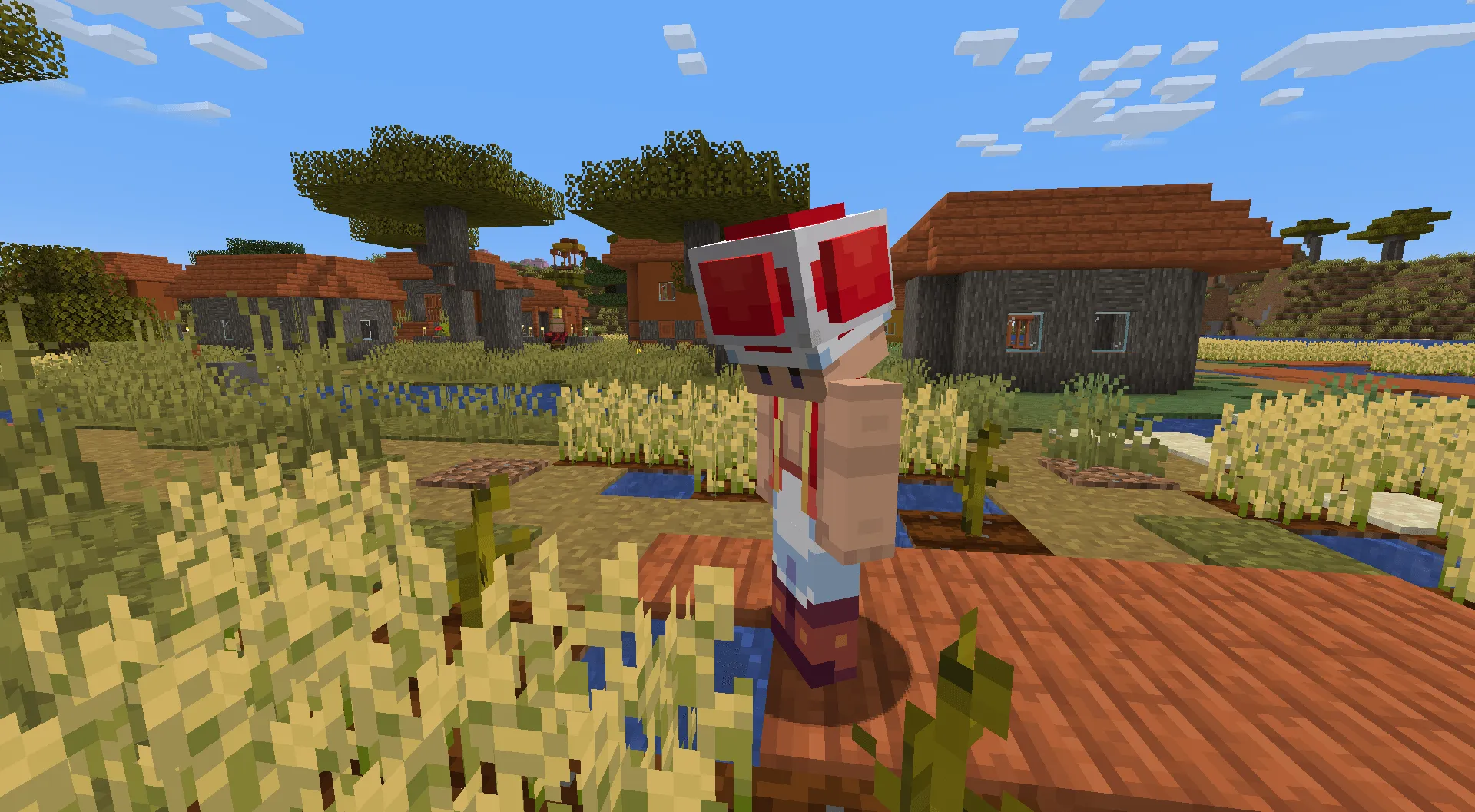 Mario Clothing Mod, Моды, Minecraft