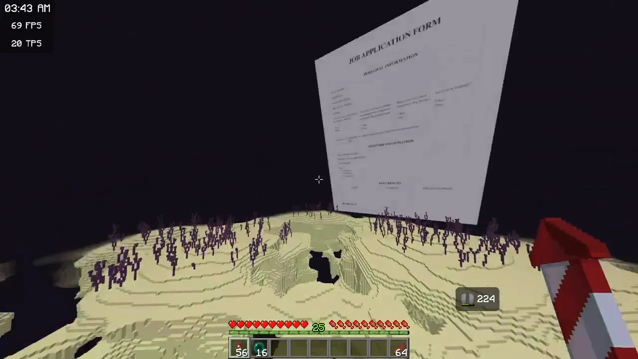 End Flash Flare Job Application — скриншот 1 (Текстуры, Minecraft)