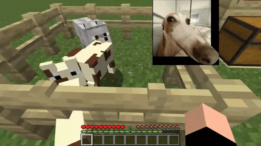 Piesek BA — скриншот 1 (Моды, Minecraft)