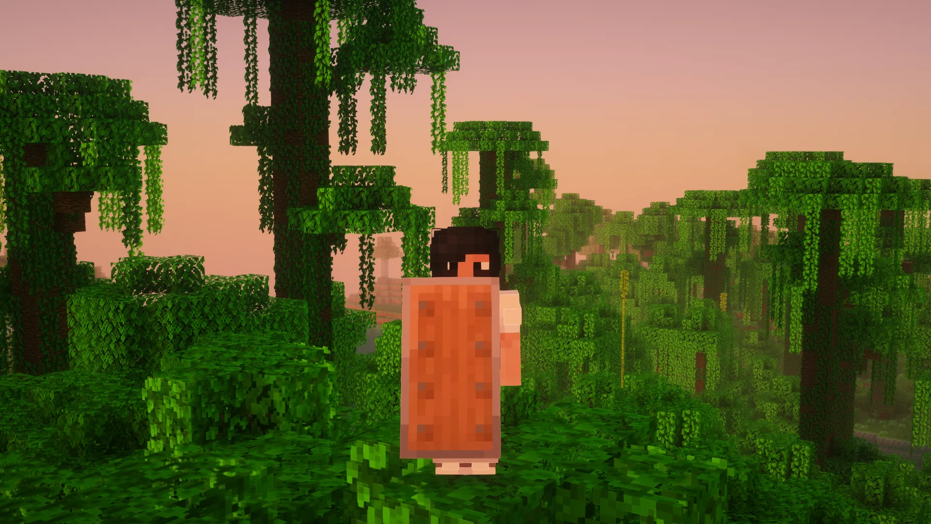 Woodtype Shields, Текстуры, Minecraft