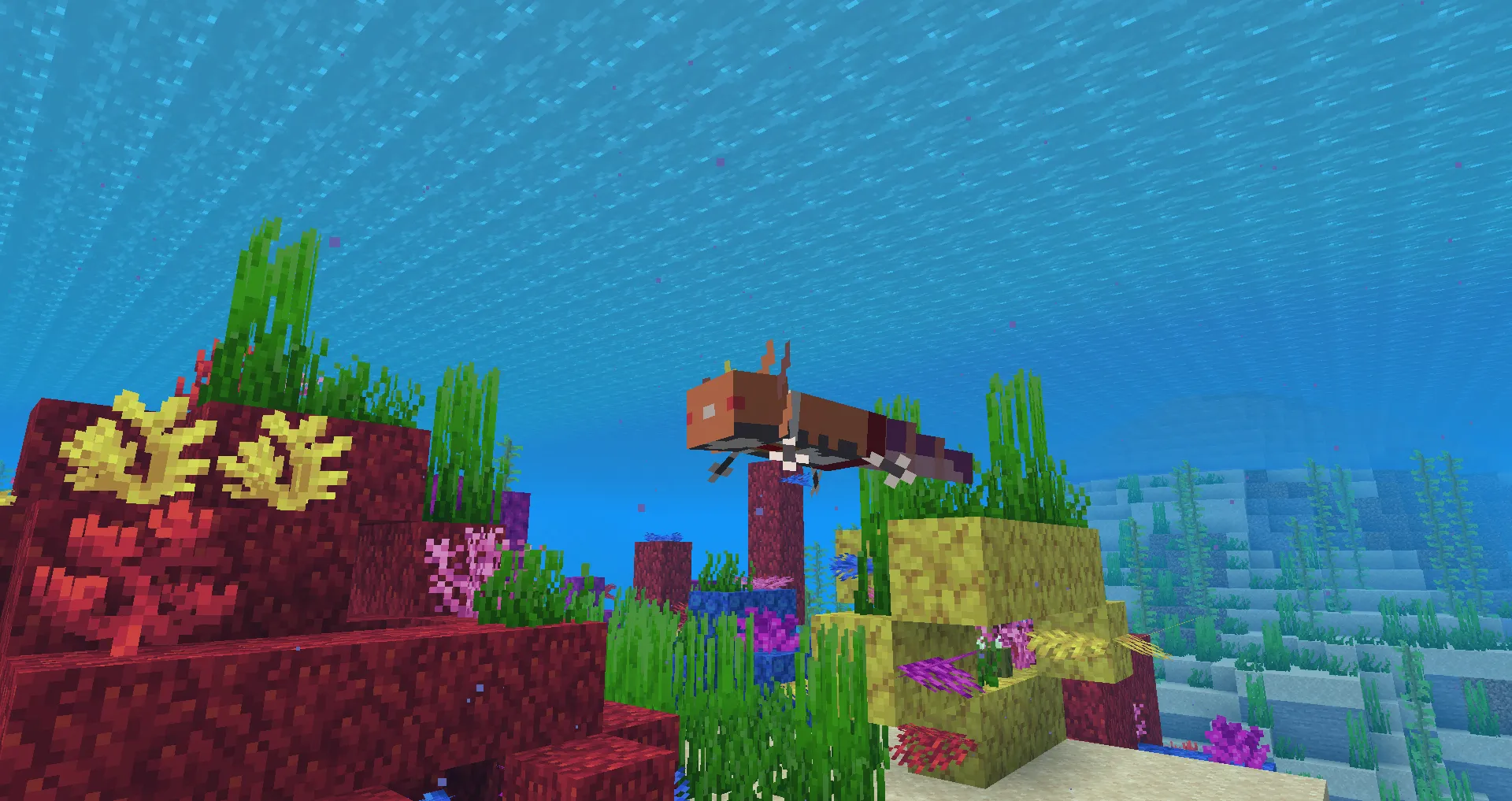 Holo Axolotl (require Optifine), Текстуры, Minecraft