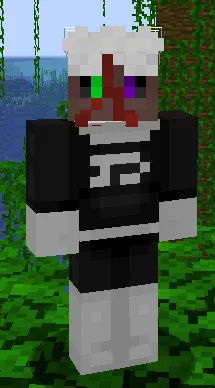 Phantom Accessories, Моды, Minecraft