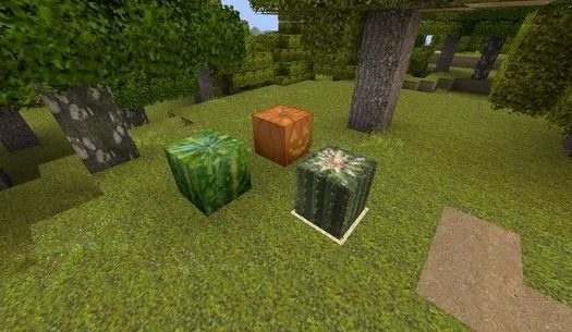 More Relaxing — скриншот 7 (Текстуры, Minecraft)