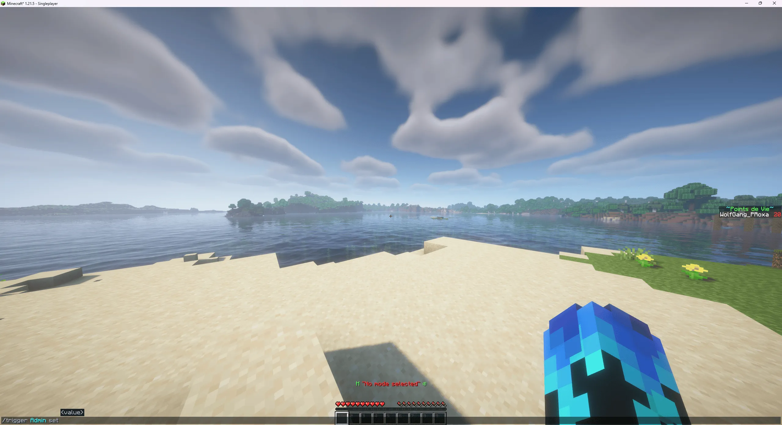 ~Speedrun Games~ (Data Pack Only), Дата-паки, Minecraft