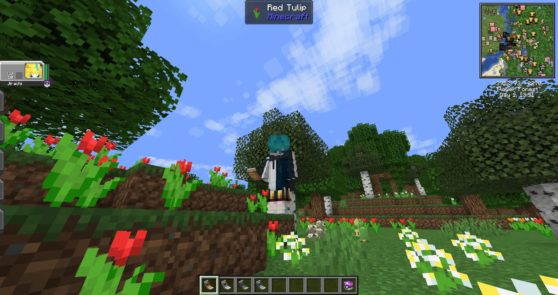 Cobblemon 3D Pokenavs, Текстуры, Minecraft