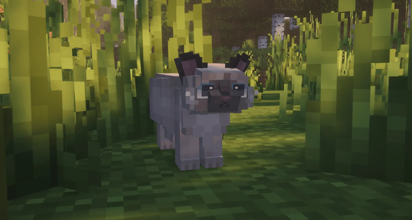 Refined Cats, Текстуры, Minecraft