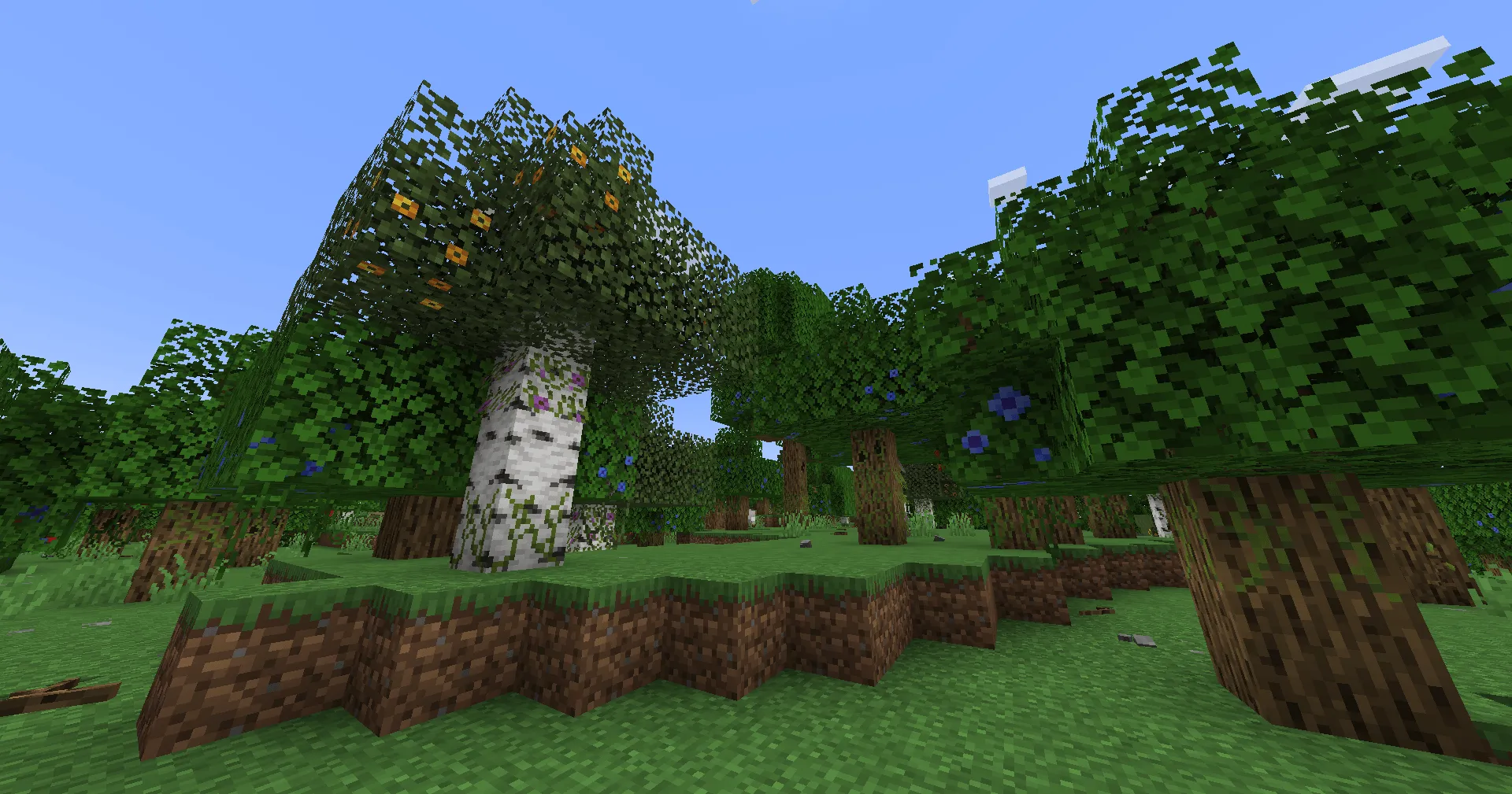 Musgo, Текстуры, Minecraft